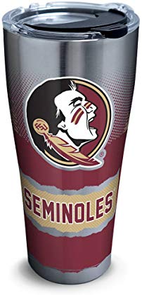 Tervis 1267968 Florida State Seminoles Knockout Stainless Steel Tumbler with Clear and Black Hammer Lid 30oz, Silver