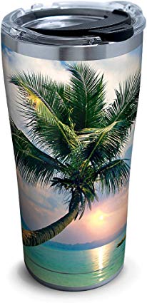 Tervis 1261333 Sunset In Paradise Stainless Steel Tumbler with Clear and Black Hammer Lid 20oz, Silver